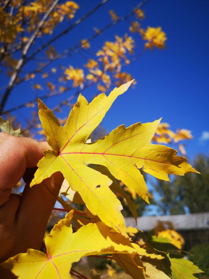 微信图片_20181027153508.jpg
