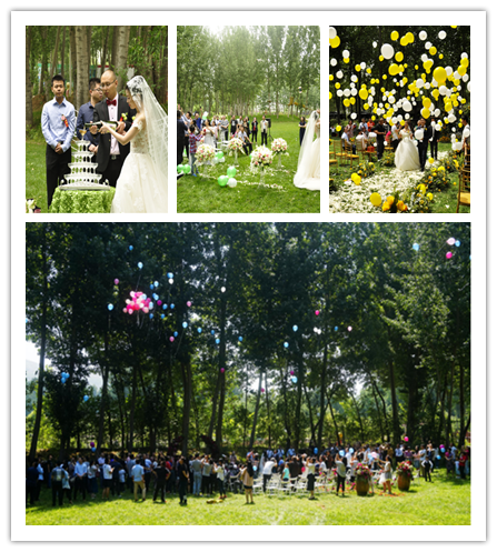 153664671511(1)_副本.png